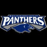 南阿德莱德黑豹后备队